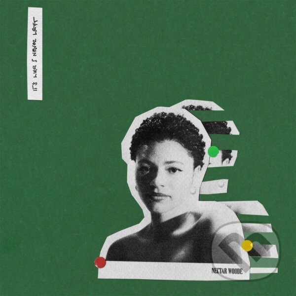 Levně Nectar Woode: It’s Like I Never Left LP - Nectar Woode
