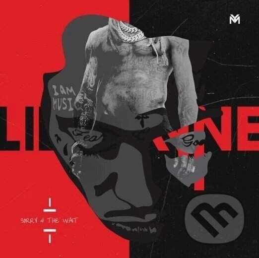 Kniha Lil' Wayne: Sorry 4 The Wait LP