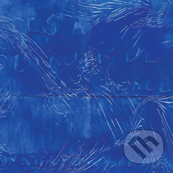 Levně Water From Your Eyes: It´S A Beautiful Place LP - Water From Your Eyes