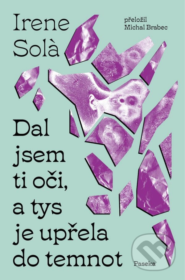 Kniha: Dal jsem ti oči, a tys je upřela do temnot (Irene Sola). Paseka, 2026