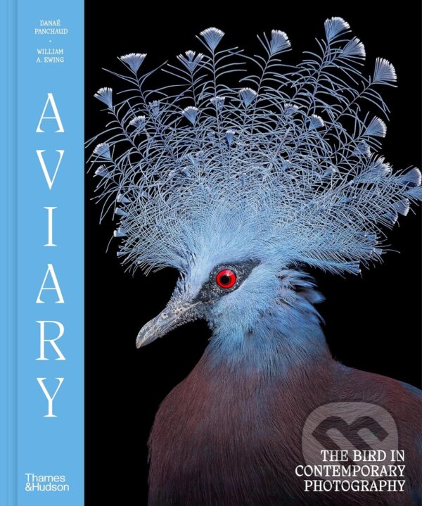 Kniha Aviary