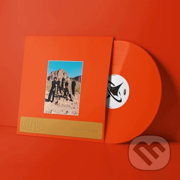 Levně Leisure: Welcome To The Mood LP - Leisure
