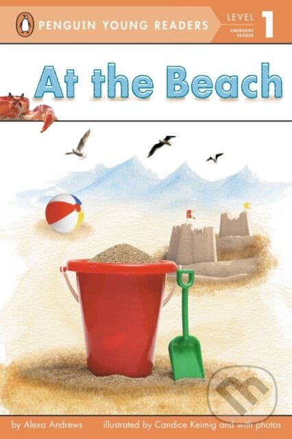 Kniha At the Beach