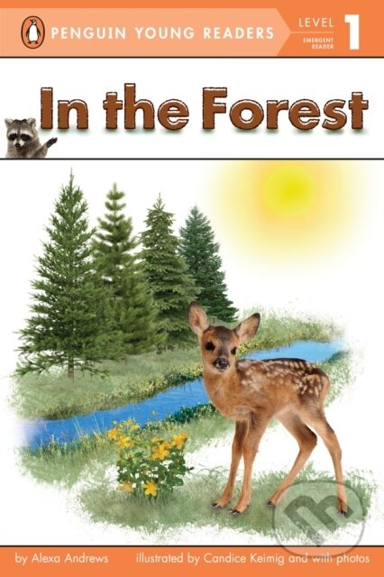 Kniha In the Forest