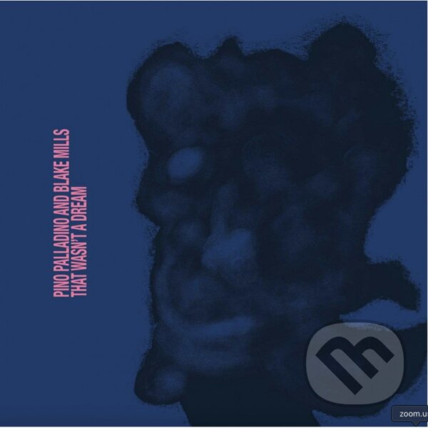 Pino Palladino & Blake Mills:  That Wasn´T A Dream