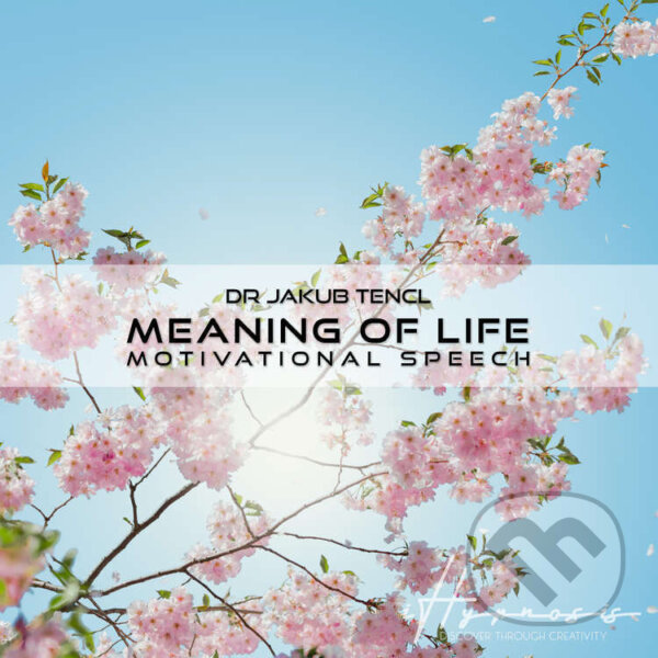 Kniha Meaning of Life
