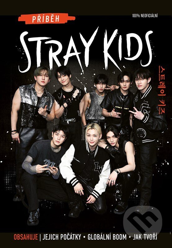 Levně Příběh Stray Kids (Neautorizovaný průvodce) - kniha z kategorie Beletria