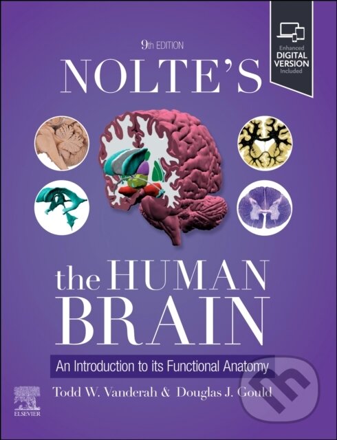 Kniha: Nolte's The Human Brain (Douglas J. Gould). Churchill Livingstone, 2025