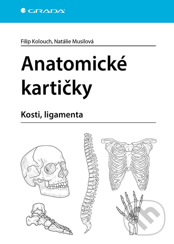 Levně Anatomické kartičky - Filip Kolouch, Natálie Musilová - kniha z kategorie Medicína