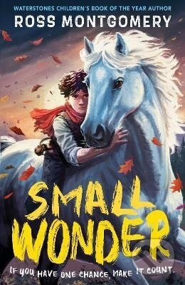 Small Wonder koupíte na Martinus.cz