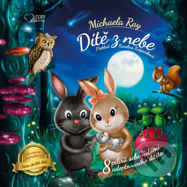 Levně Dítě z nebe (8 pilířů sebevědomí adoptovaného dítěte) - kniha z kategorie Rozprávky