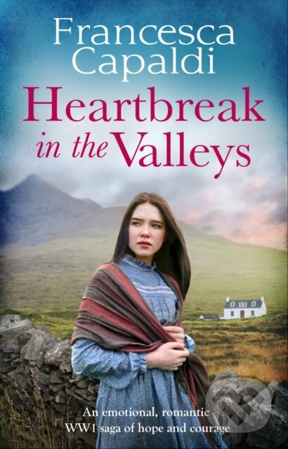 Levně Heartbreak in the Valleys (An emotional, romantic WW1 saga of courage and hope) - kniha z kategorie Beletria