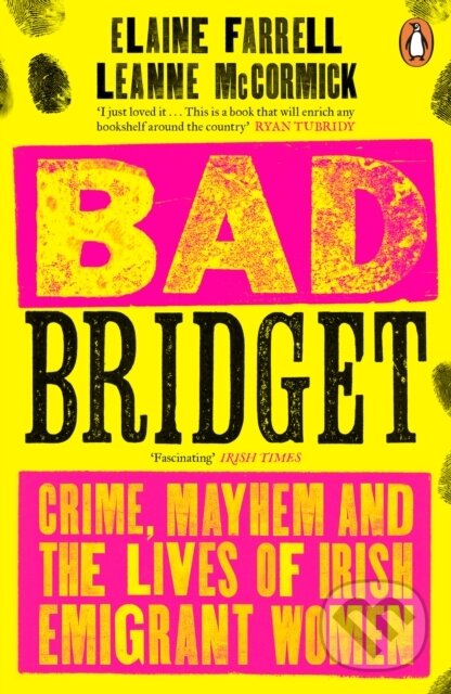 Kniha Bad Bridget