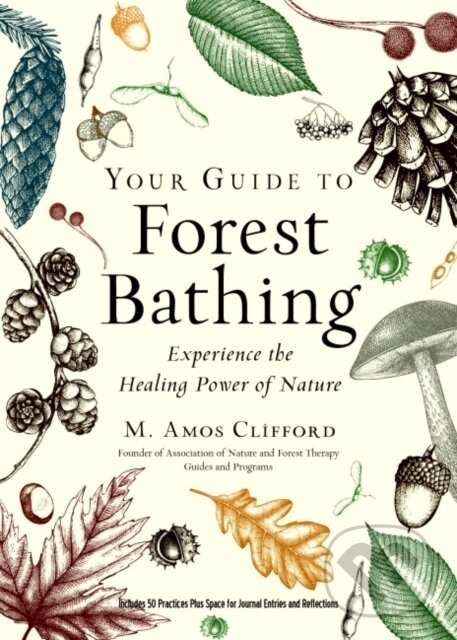 Levně Your Guide to Forest Bathing (Expanded Edition) (Experience the Healing Power of Nature) - kniha z kategorie Spiritualita