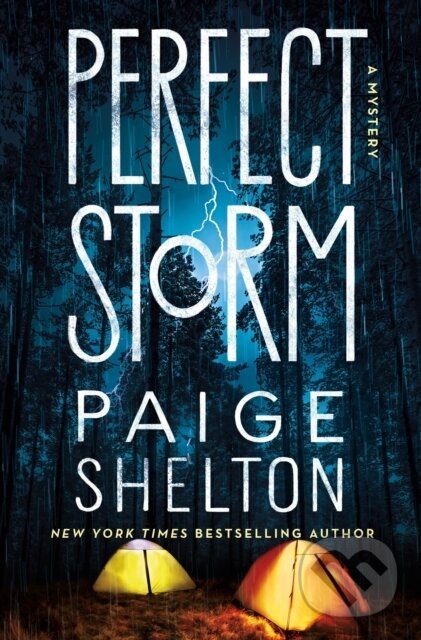 Kniha Perfect Storm