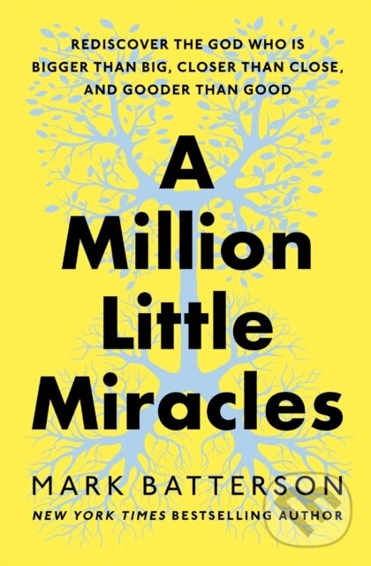 Levně A Million Little Miracles (Rediscover the God Who Is Bigger Than Big, Closer Than Close, and Gooder Than Good) - kniha z kategorie Motivácia a…