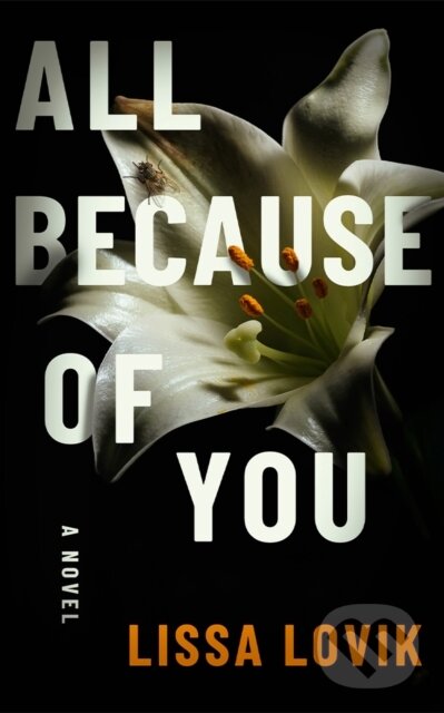 Levně All Because of You (A Novel) - Lissa Lovik - kniha z kategorie Beletria