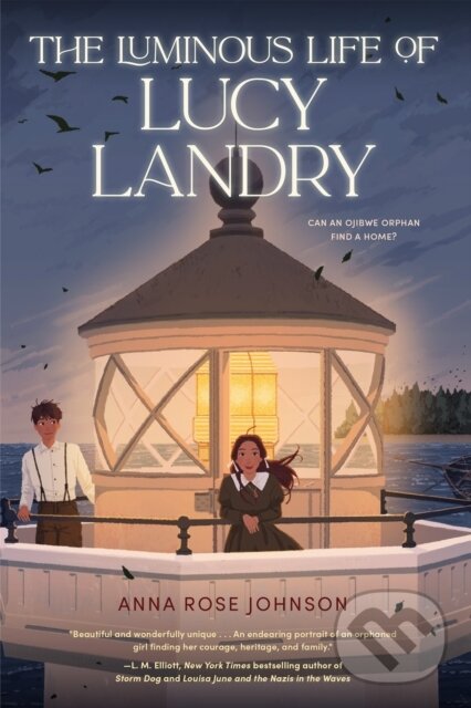 Levně The Luminous Life of Lucy Landry - Anna Rose Johnson - kniha z kategorie Naučné knihy