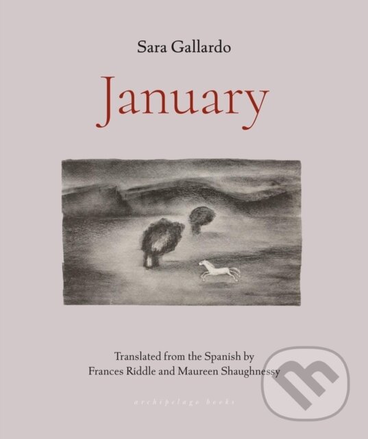 Levně January - Sara Gallardo - kniha z kategorie Spoločenská beletria