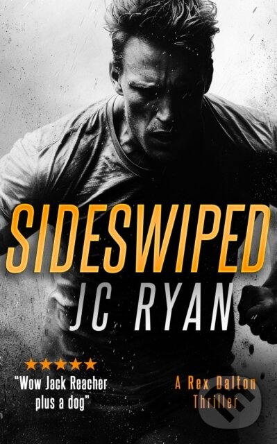 Kniha: Sideswiped (J C Ryan). , 2025