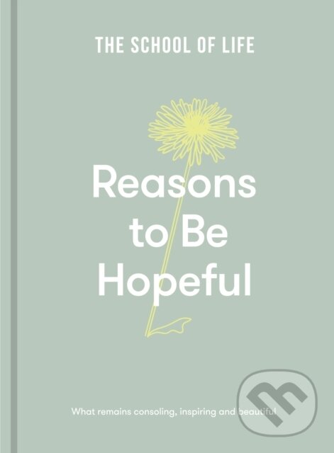 Levně Reasons to be Hopeful (what remains consoling, inspiring and beautiful) - kniha z kategorie Škola fotografie