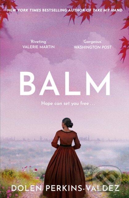 Levně Balm (From the New York Times bestselling author of Take My Hand) - kniha z kategorie Beletria
