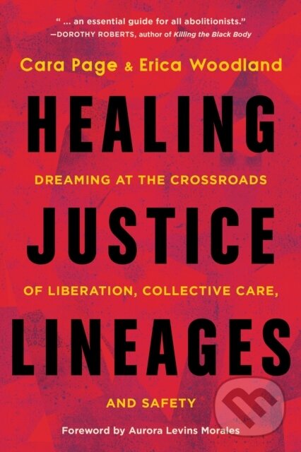 Kniha Healing Justice Lineages
