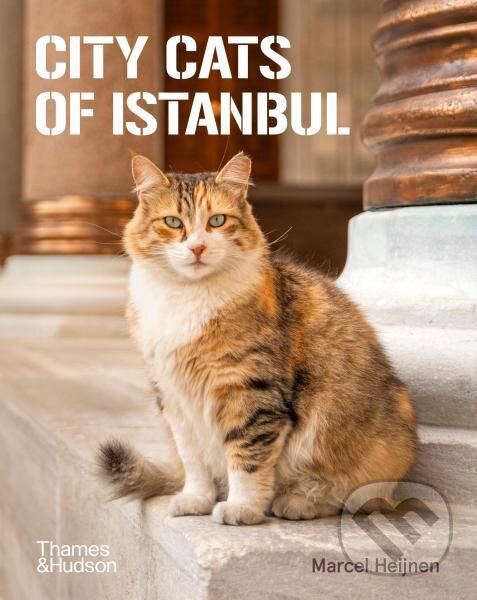 Levně City Cats of Istanbul - Marcel Heijnen - kniha z kategorie Fotografie