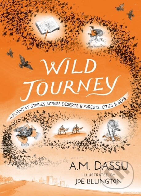Kniha Wild Journey
