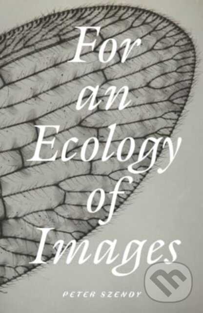 Levně For an Ecology of Images - Peter Szendy