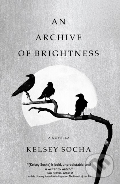Levně An Archive of Brightness - Kelsey Socha - kniha z kategorie Beletria