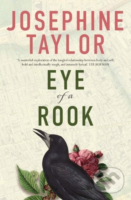 Levně Eye of a Rook - Josephine Taylor - kniha z kategorie Beletria