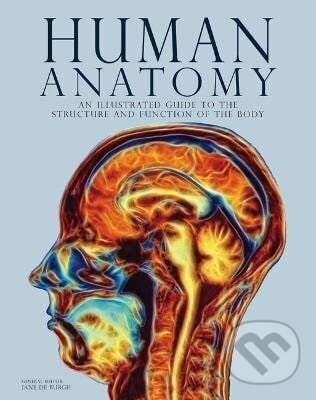 Levně Human Anatomy - Jane Burgh de - kniha z kategorie Domáca liečba
