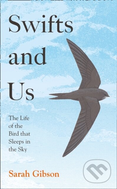 Levně Swifts and Us (The Life of the Bird That Sleeps in the Sky) - kniha z kategorie Humanitné a spoločenské vedy