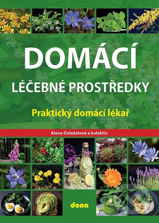 Levně Domácí léčebné prostředky – Praktický domácí lékař