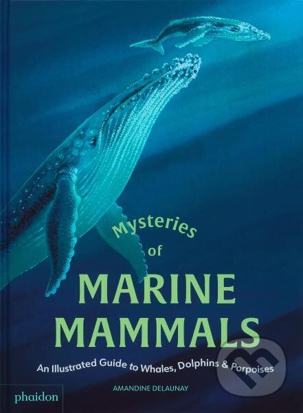 Levně Mysteries of Marine Mammals - Amandine Delaunay - kniha z kategorie Beletria