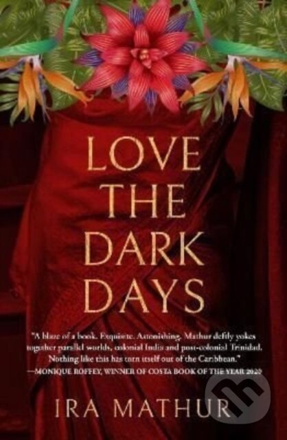 Levně Love the Dark Days - Ira Mathur - kniha z kategorie Životopisy, reportáže a myšlienky