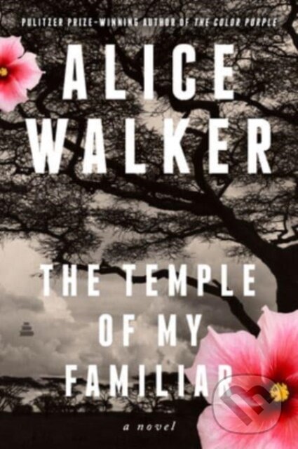 Levně Temple of My Familiar (A Novel) - Alice Walker