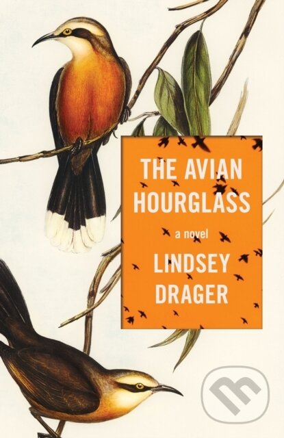 Levně The Avian Hourglass - Lindsey Drager - kniha z kategorie Beletria