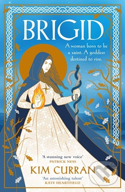 Levně Brigid - Kim Curran - kniha z kategorie Beletria