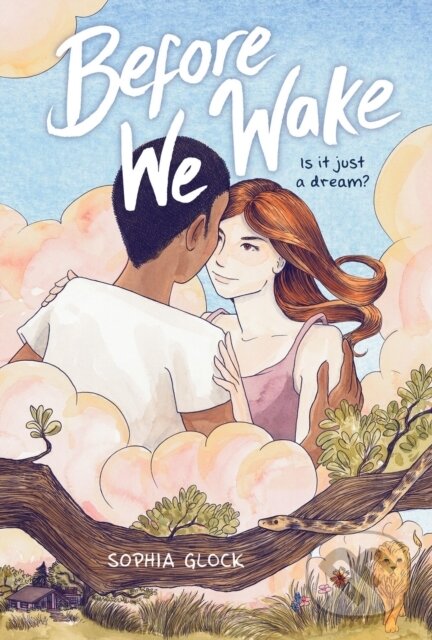 Levně Before We Wake (A Graphic Novel) - Sophia Glock