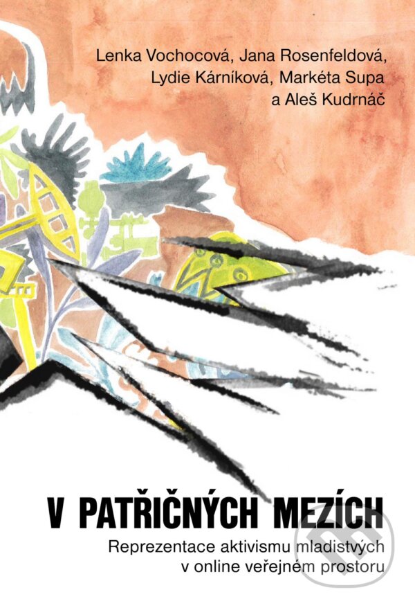 Levně V patřičných mezích (Reprezentace aktivizmu mladistvých v online veřejném prostoru) - kniha z kategorie Humanitné a spoločenské vedy