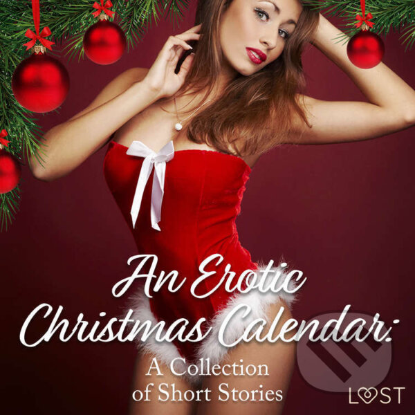 Kniha An Erotic Christmas Calendar (EN)
