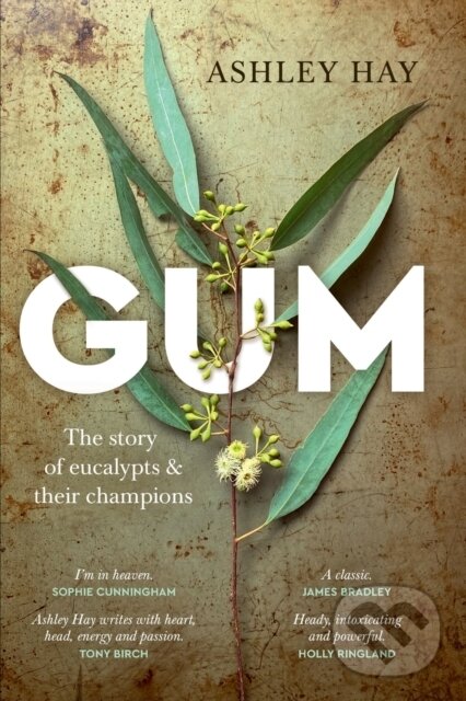 Kniha: Gum (Ashley Hay). , 2021