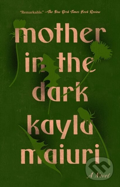 Levně Mother In the Dark - Kayla Maiuri - kniha z kategorie Beletria