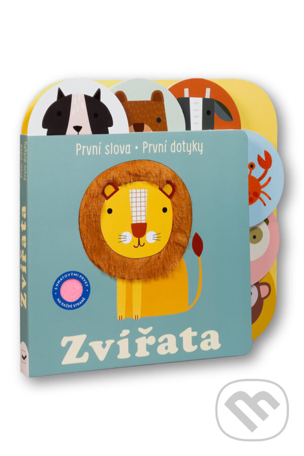 Levně Zvířata - Sally Payne - kniha z kategorie Naučné knihy