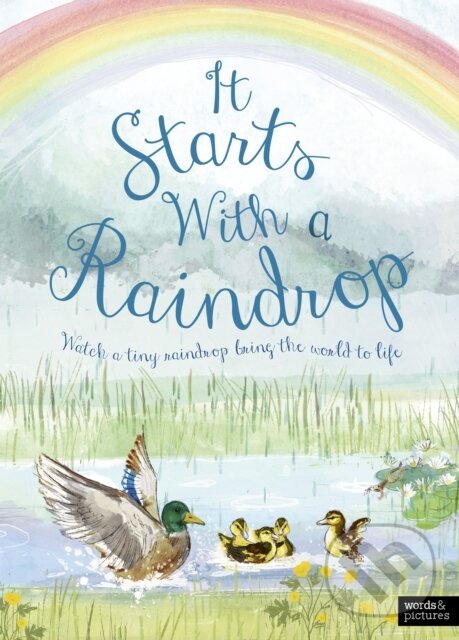 Levně It Starts With A Raindrop - Aimee Gallagher - kniha z kategorie Beletria