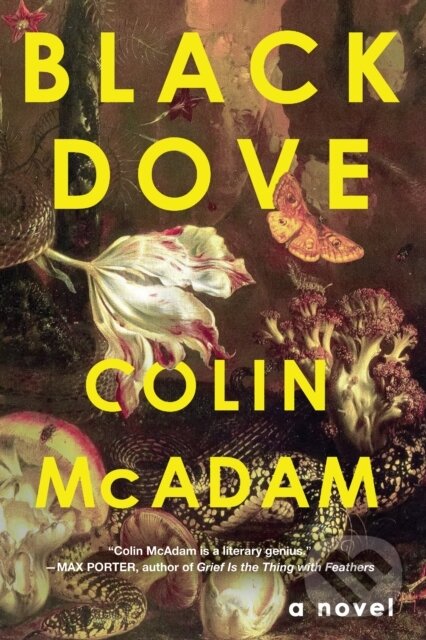 Levně Black Dove - Colin McAdam - kniha z kategorie Beletria
