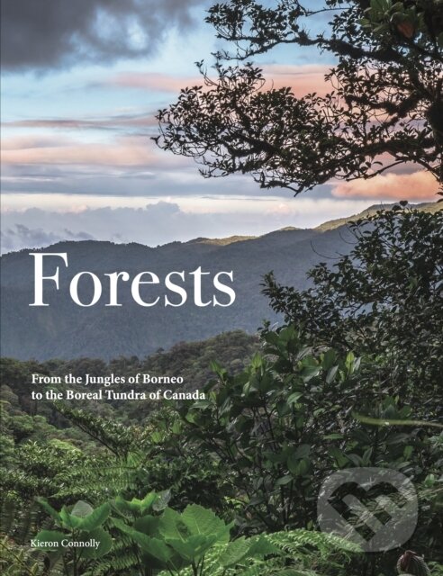 Kniha: Forests (Kieron Connolly). , 2025