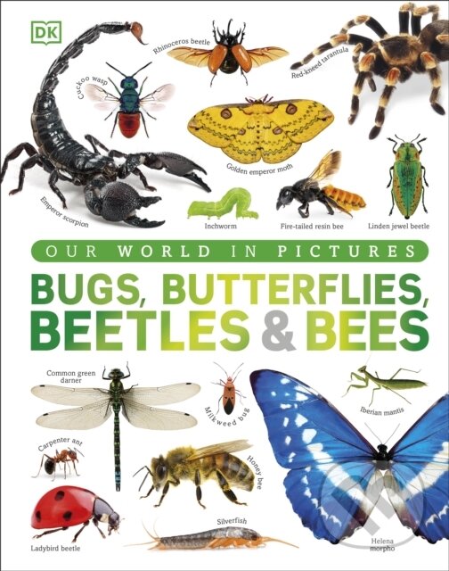 Levně Our World in Pictures Bugs, Butterflies, Beetles and Bees - kniha z kategorie Encyklopédie